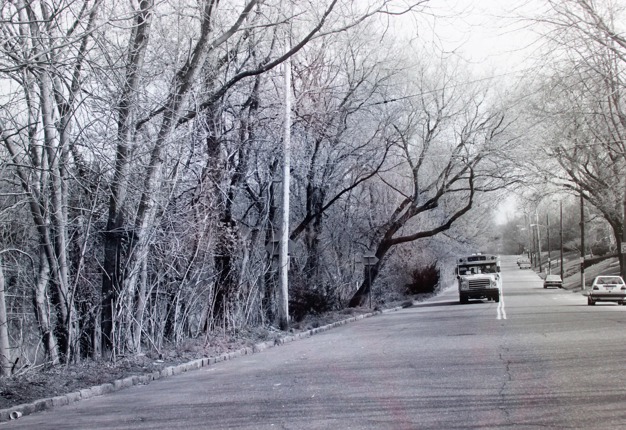Pic-162 (Dale Rd, looking north. Railroad on left)
