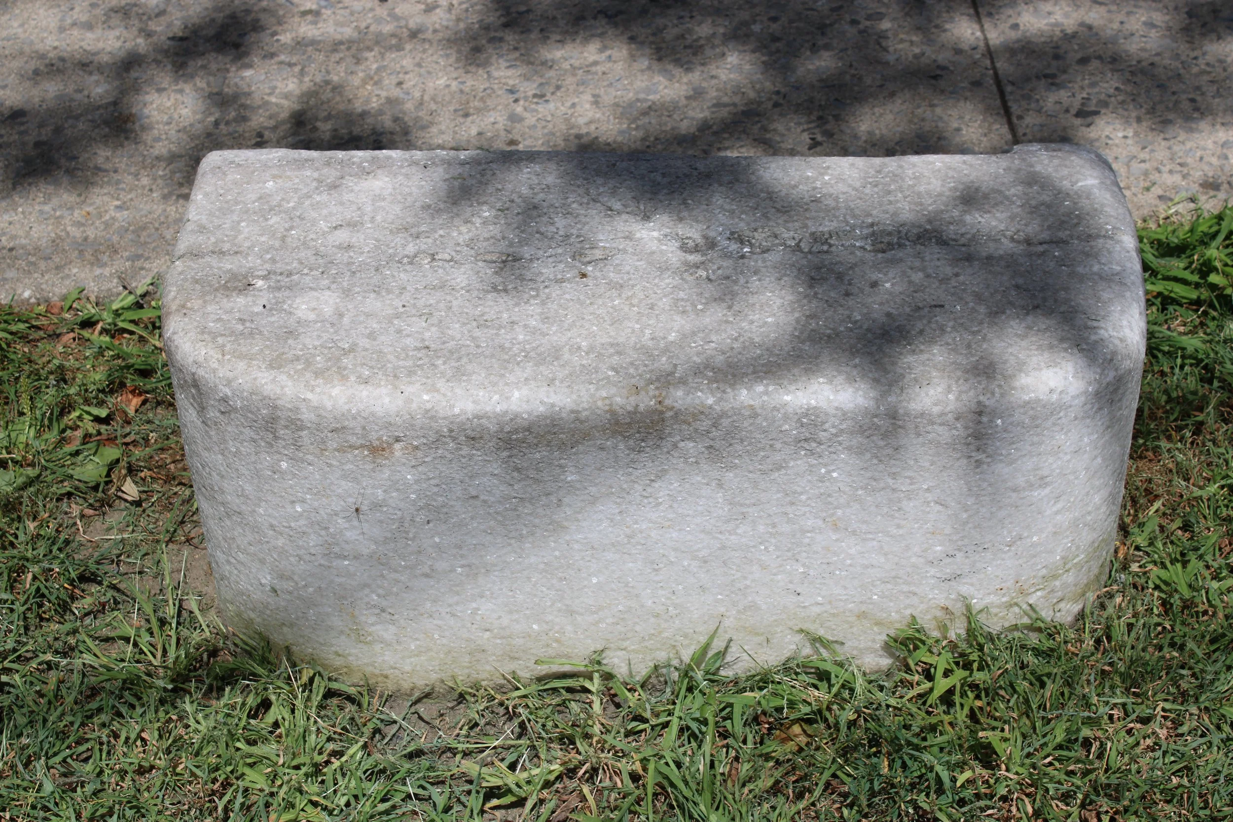 Pic-1029b (Carriage Step)