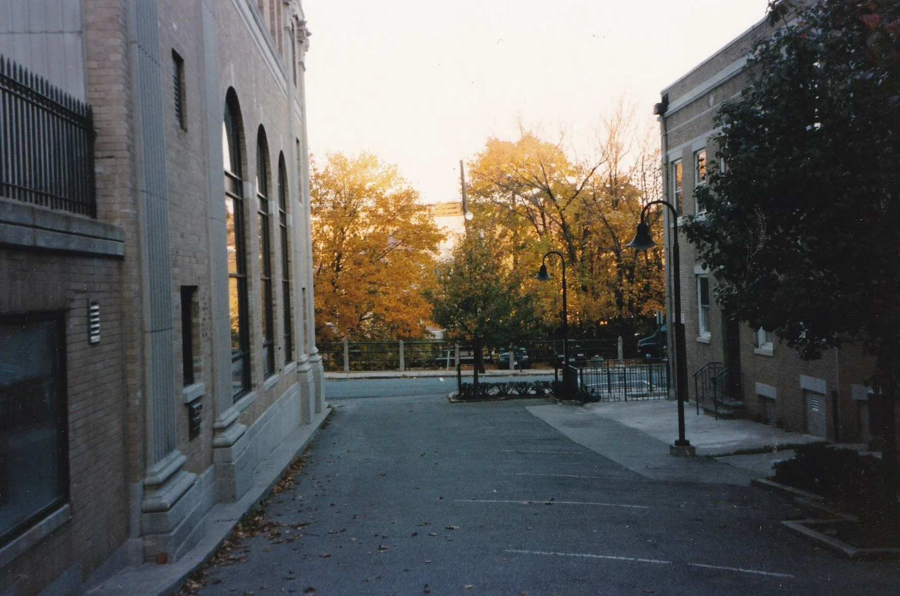 Pic-545 (Street During Fall)