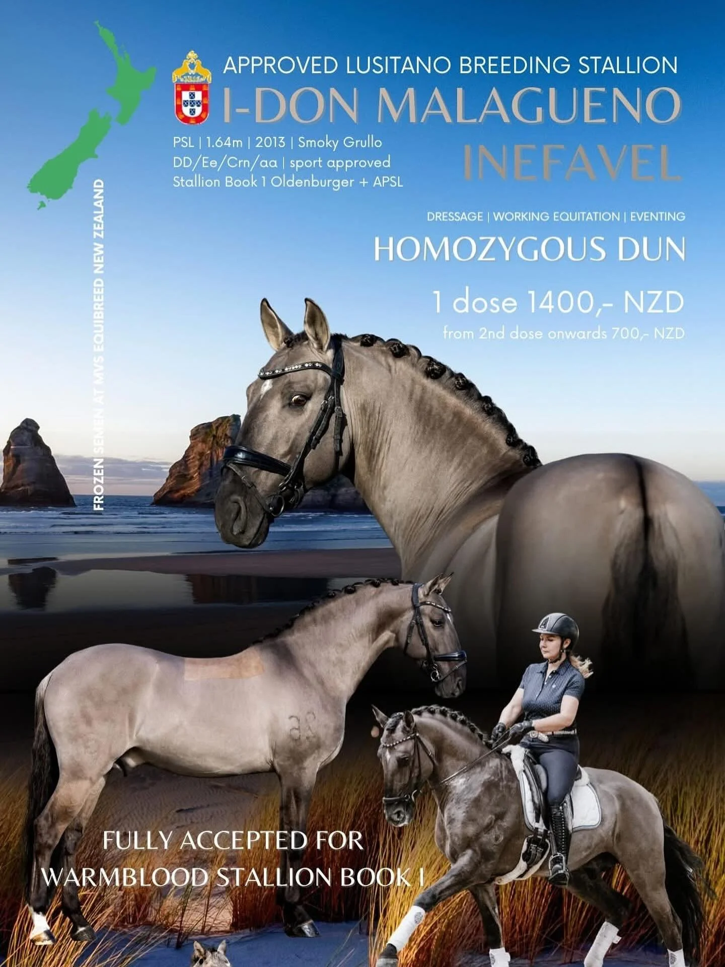 Last chance to get -10% on the breeding fee with my early bird offer for NEW ZEALAND 🇳🇿&amp; AUSTRALIA 🇦🇺