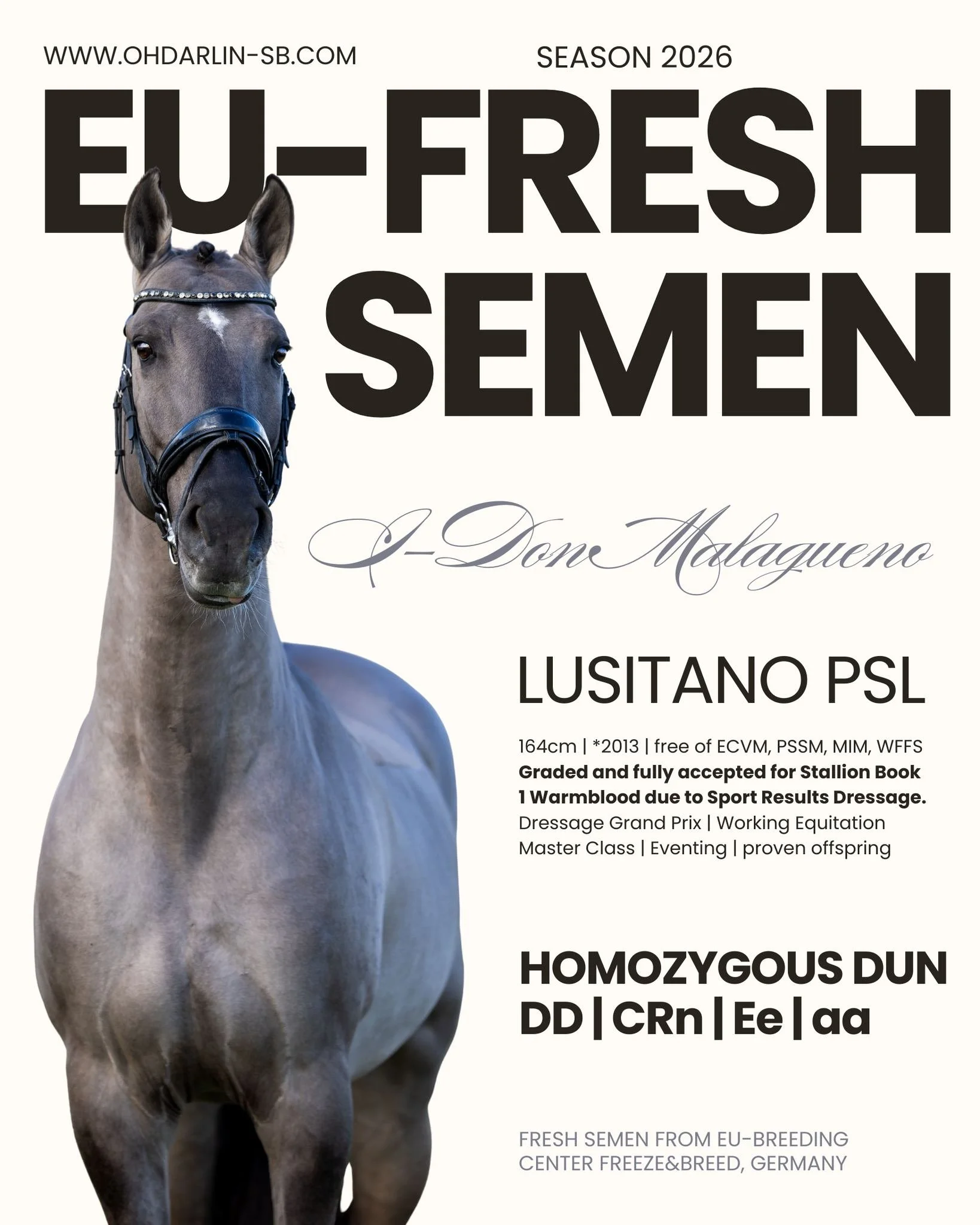 💎 **Fresh Semen Shipping 2026 for the EU!** 🇪🇺

I got so many requests, that I decided to put "FAO" aka I-Don Malagueno for a limited amount of month on stud for 🥳 EU-FRESH SEMEN 🥳

He will be available from MARCH 2026 on at Freeze and