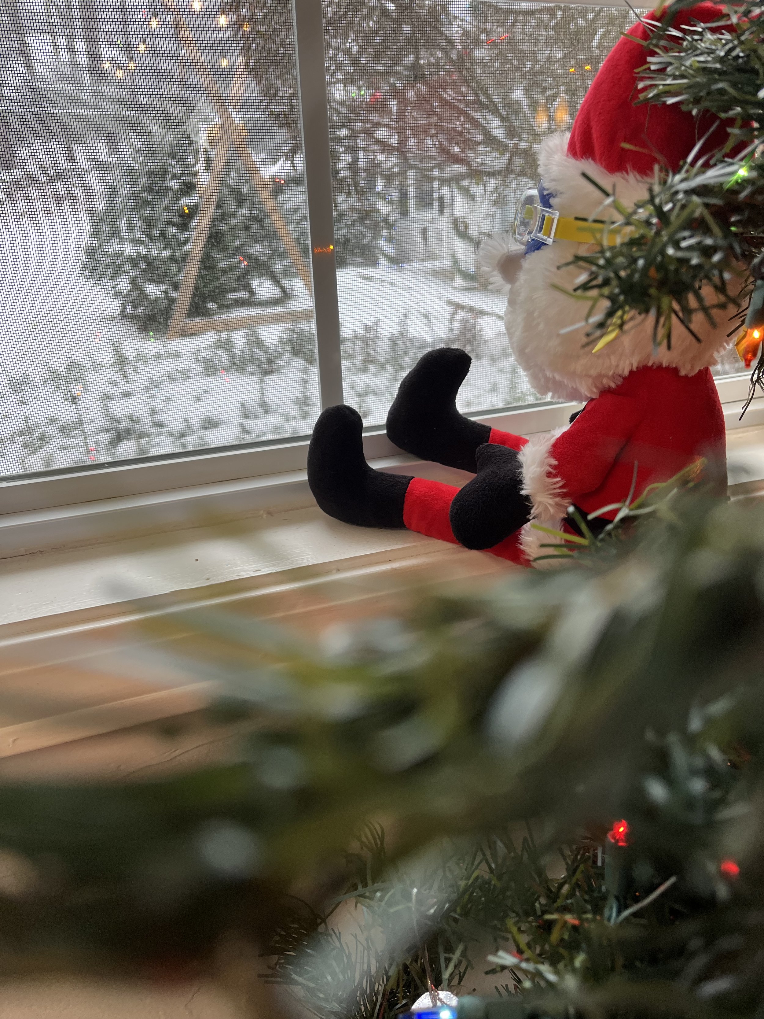 The Adventures of Santa at the Pool Store!