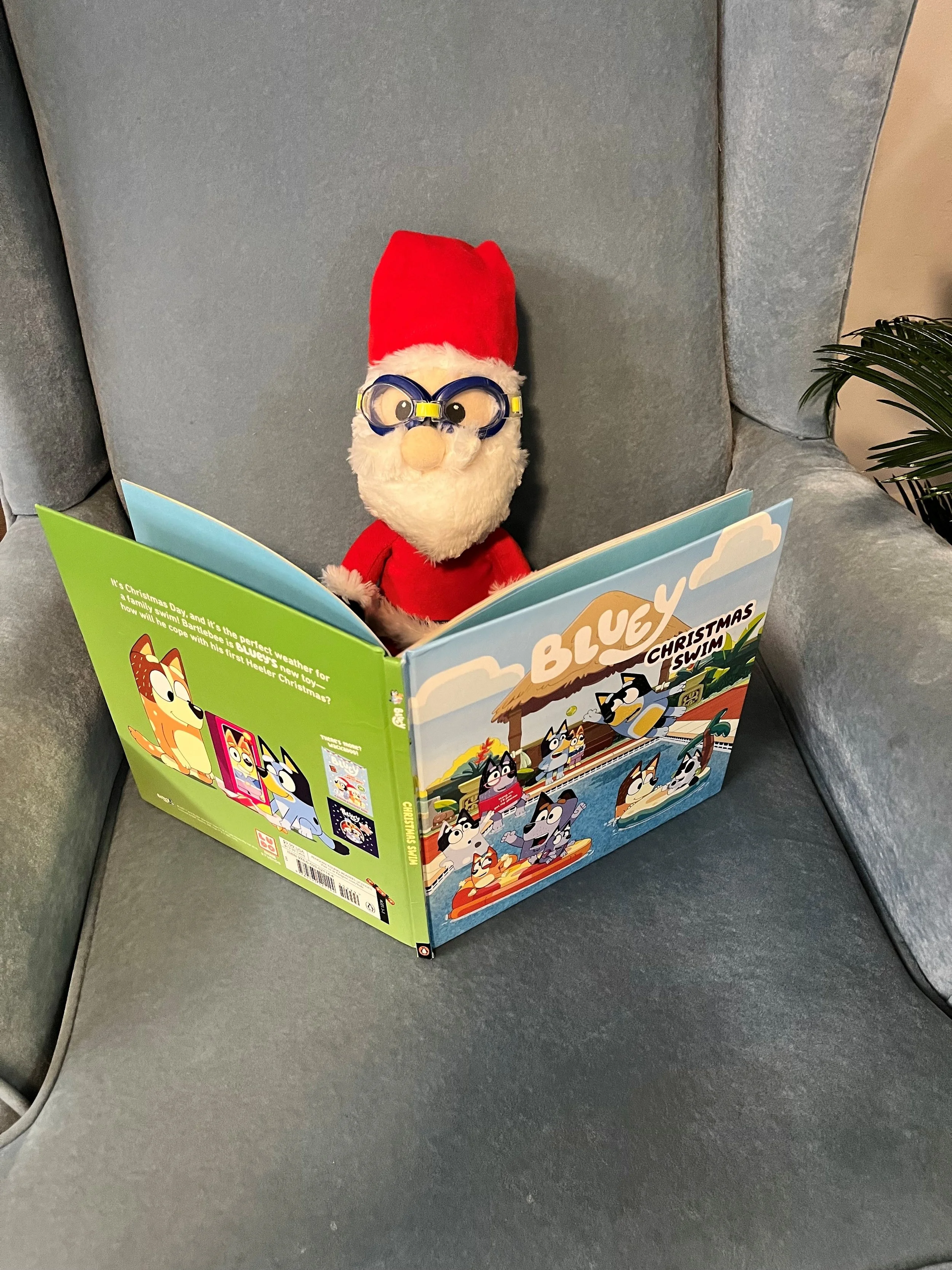 The Adventures of Santa at the Pool Store!