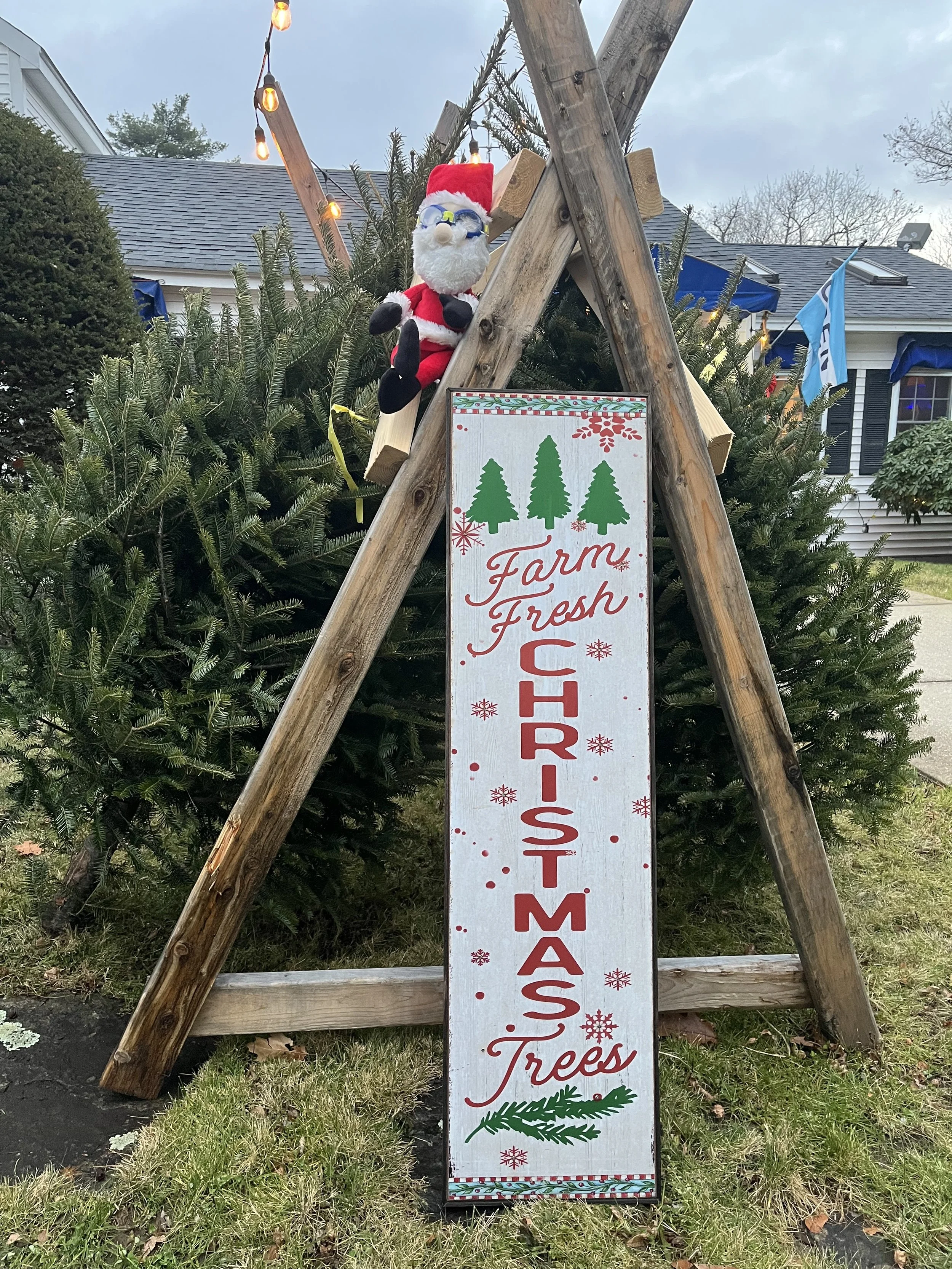 The Adventures of Santa at the Pool Store! 