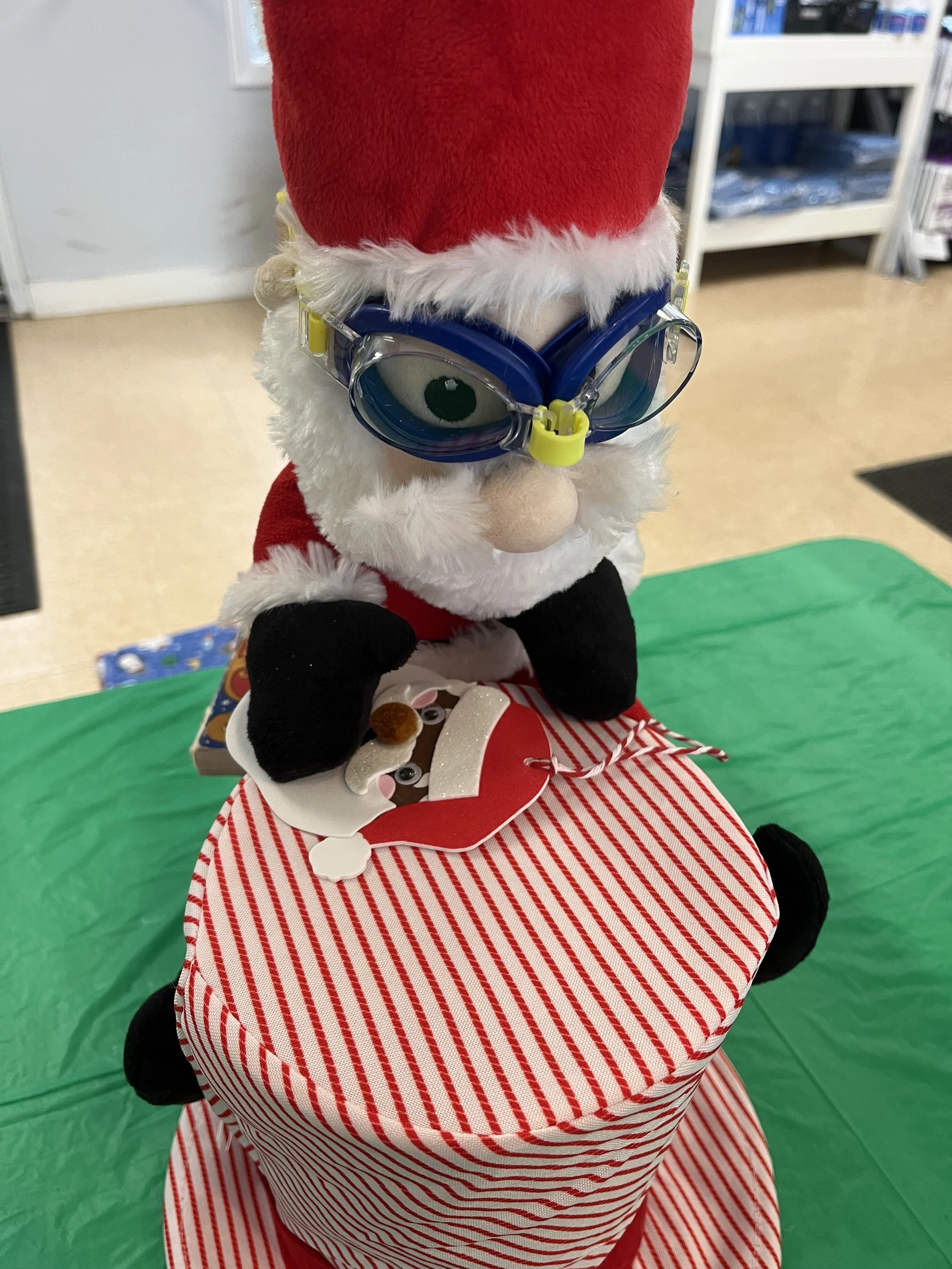 The Adventures of Santa at the Pool Store! 