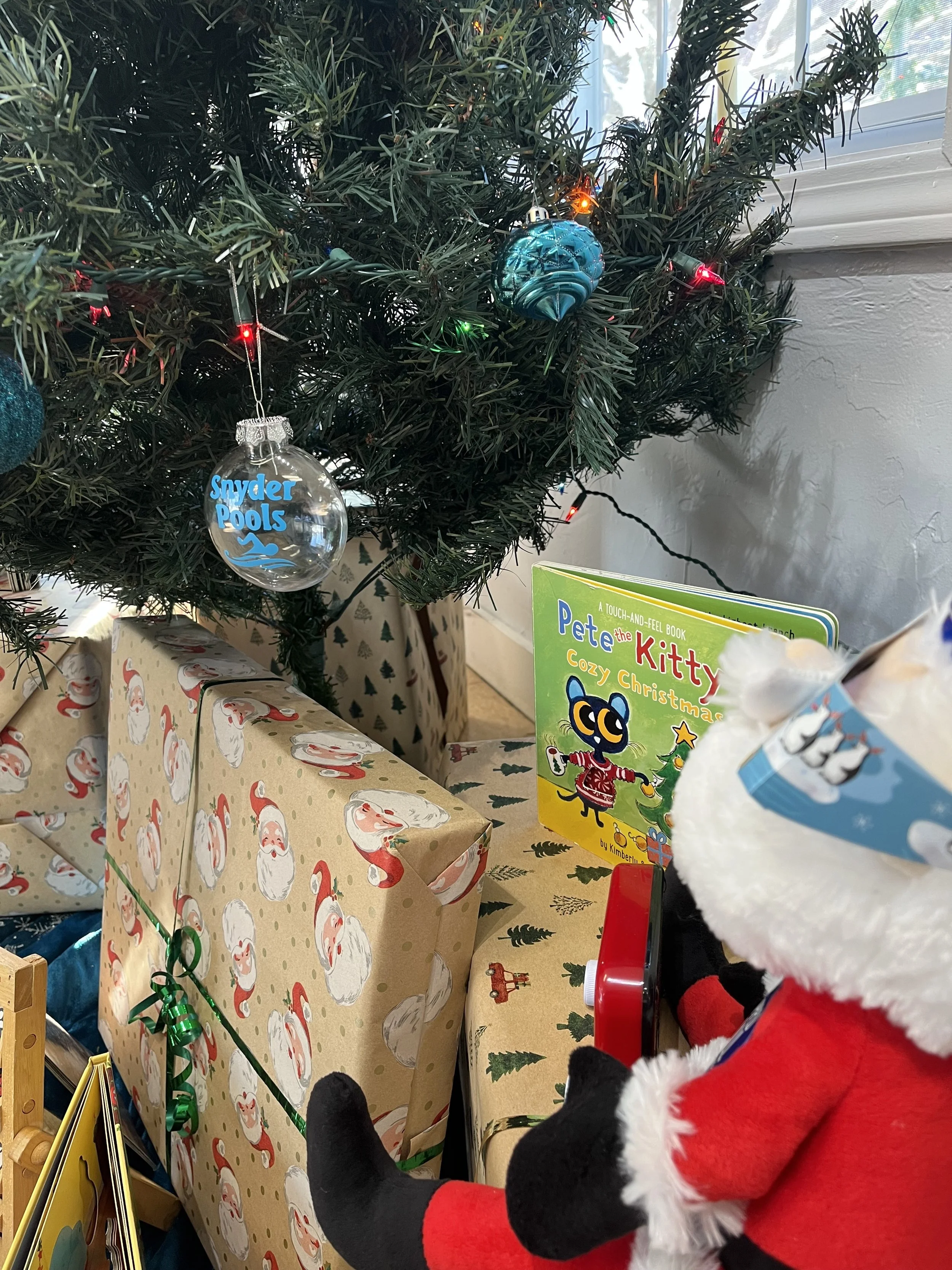 The Adventures of Santa at the Pool Store!