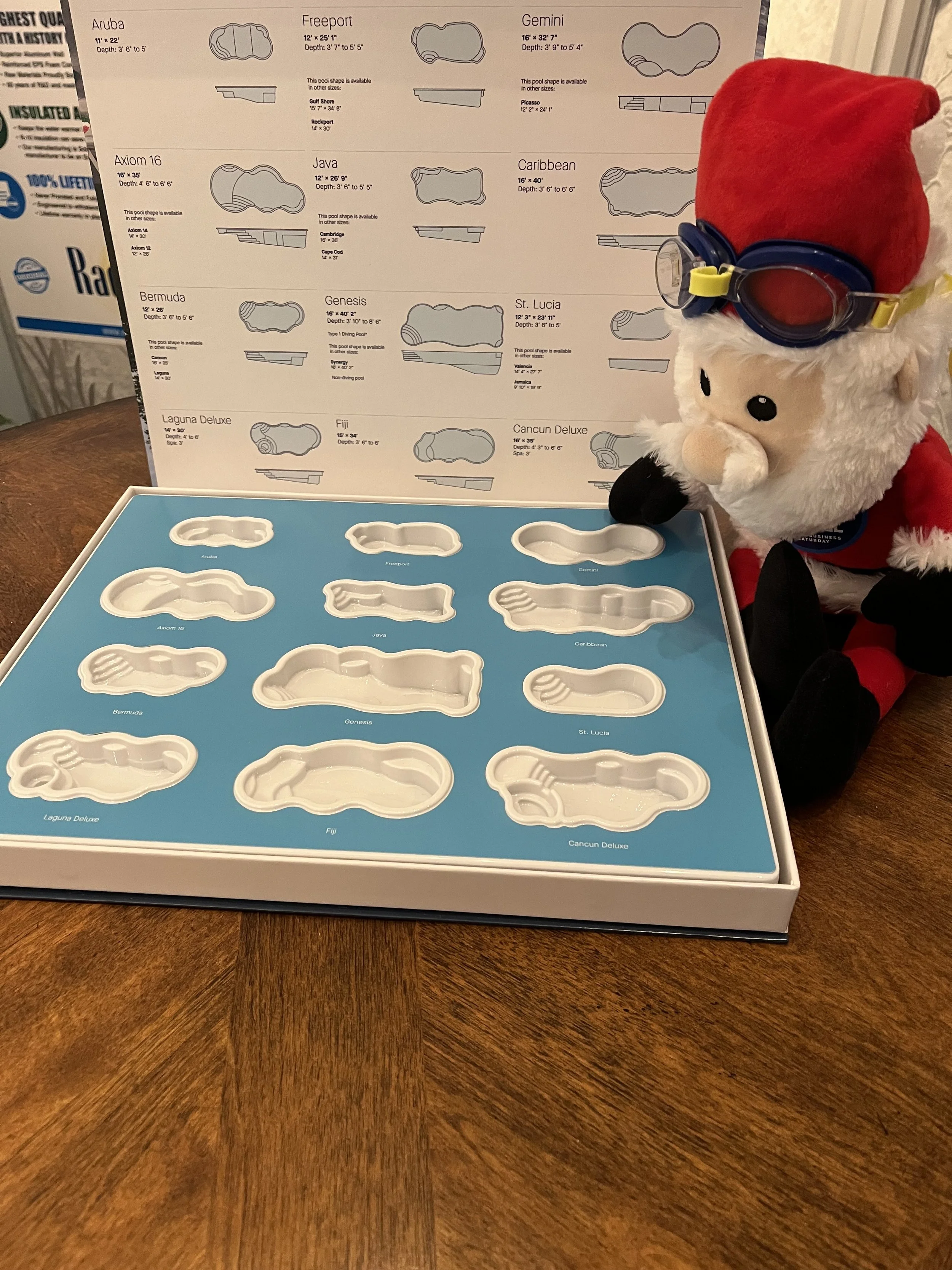 The Adventures of Santa at the Pool Store!