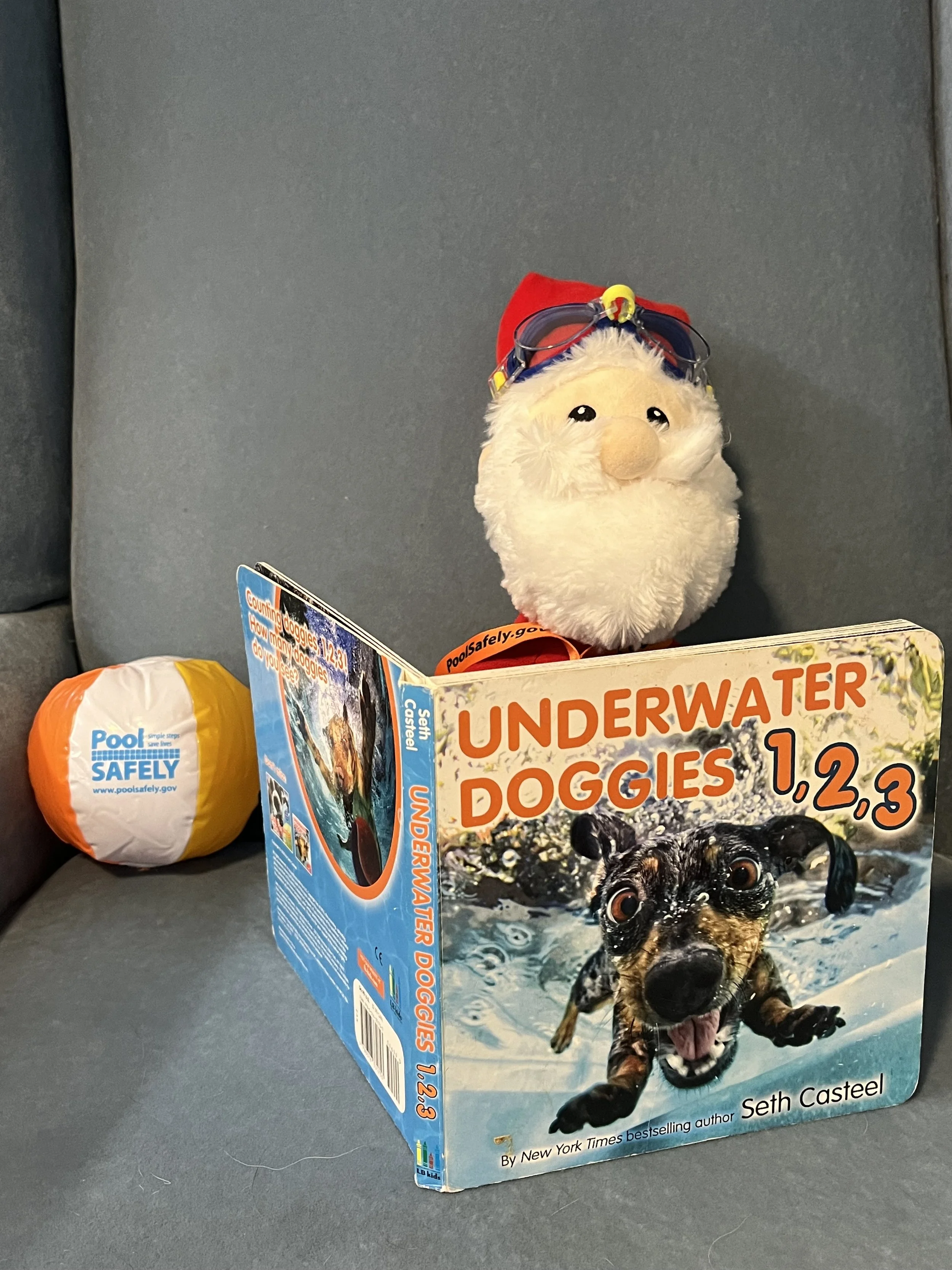 santa and water safety.jpg