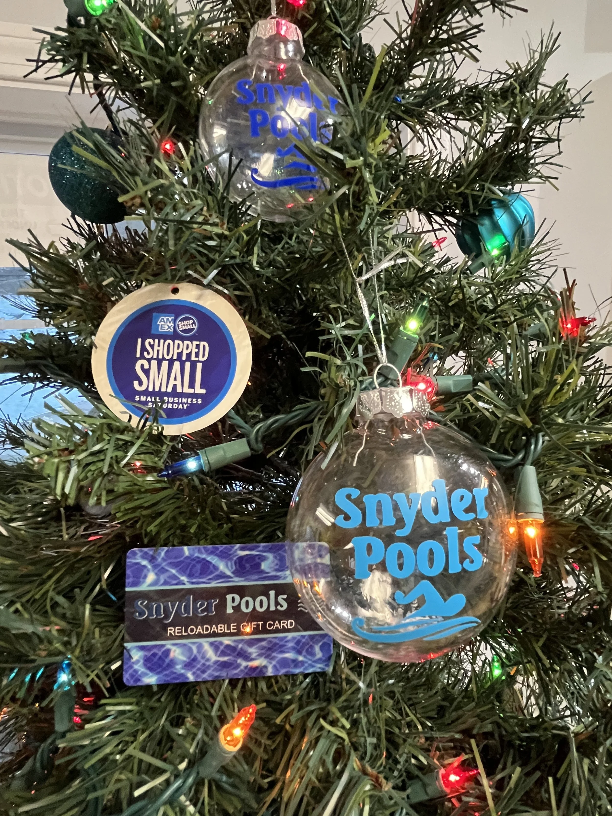 The Adventures of Santa at the Pool Store!