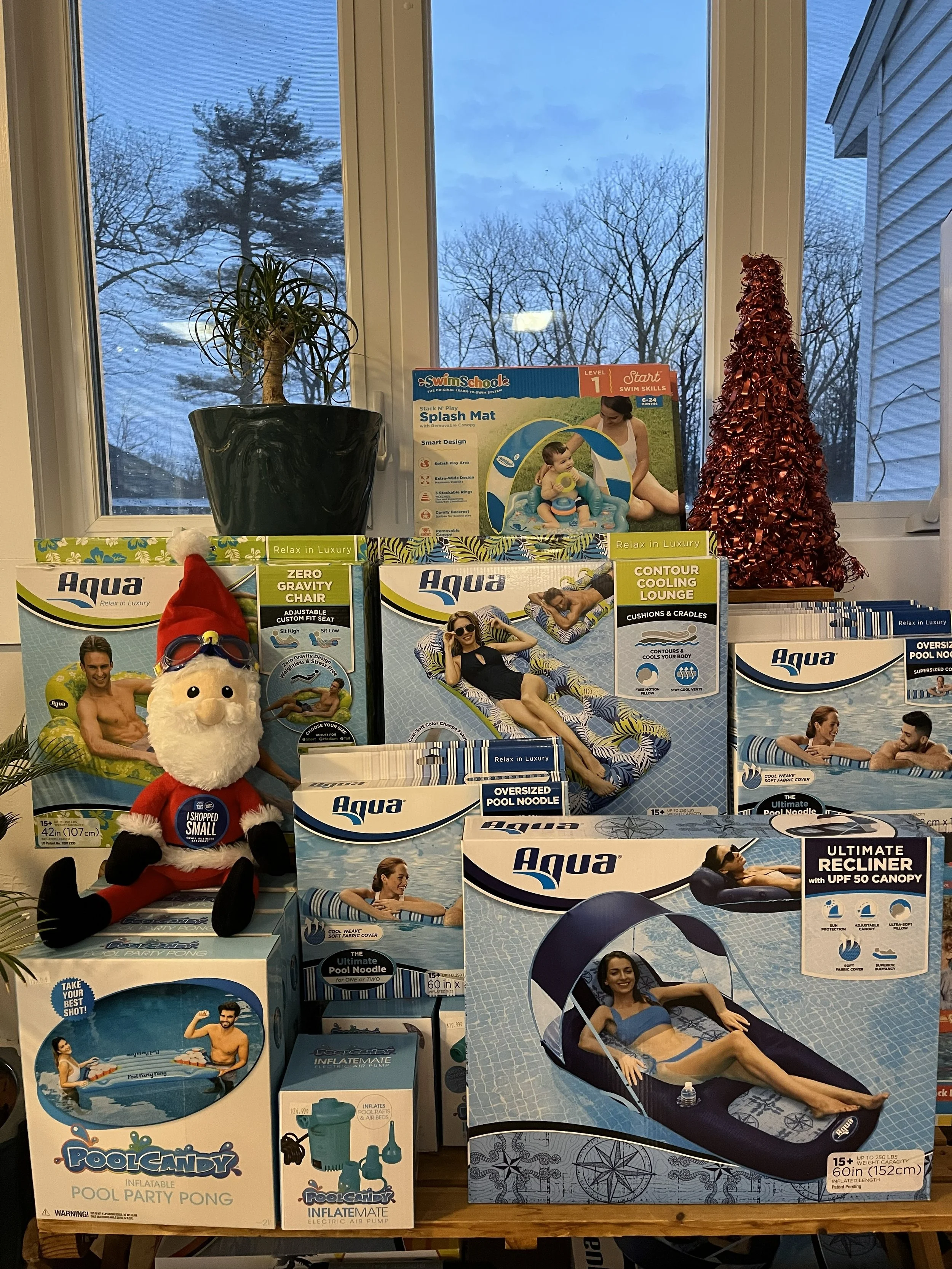 The Adventures of Santa at the Pool Store! 