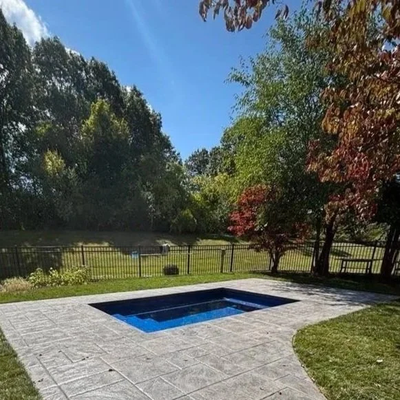 Backyard with a small pool, surrounded by a paved patio, fenced yard, trees with green and red leaves, and a clear blue sky.