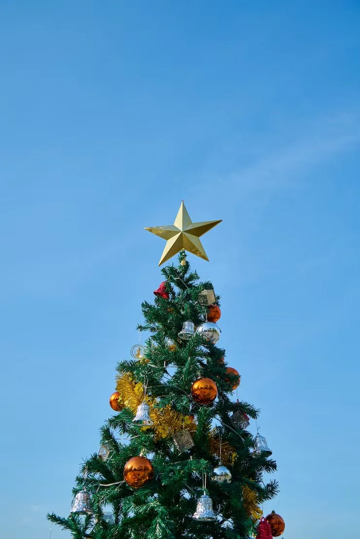 Christmas tree decorated with ornaments and topped with a golden star against a blue sky.