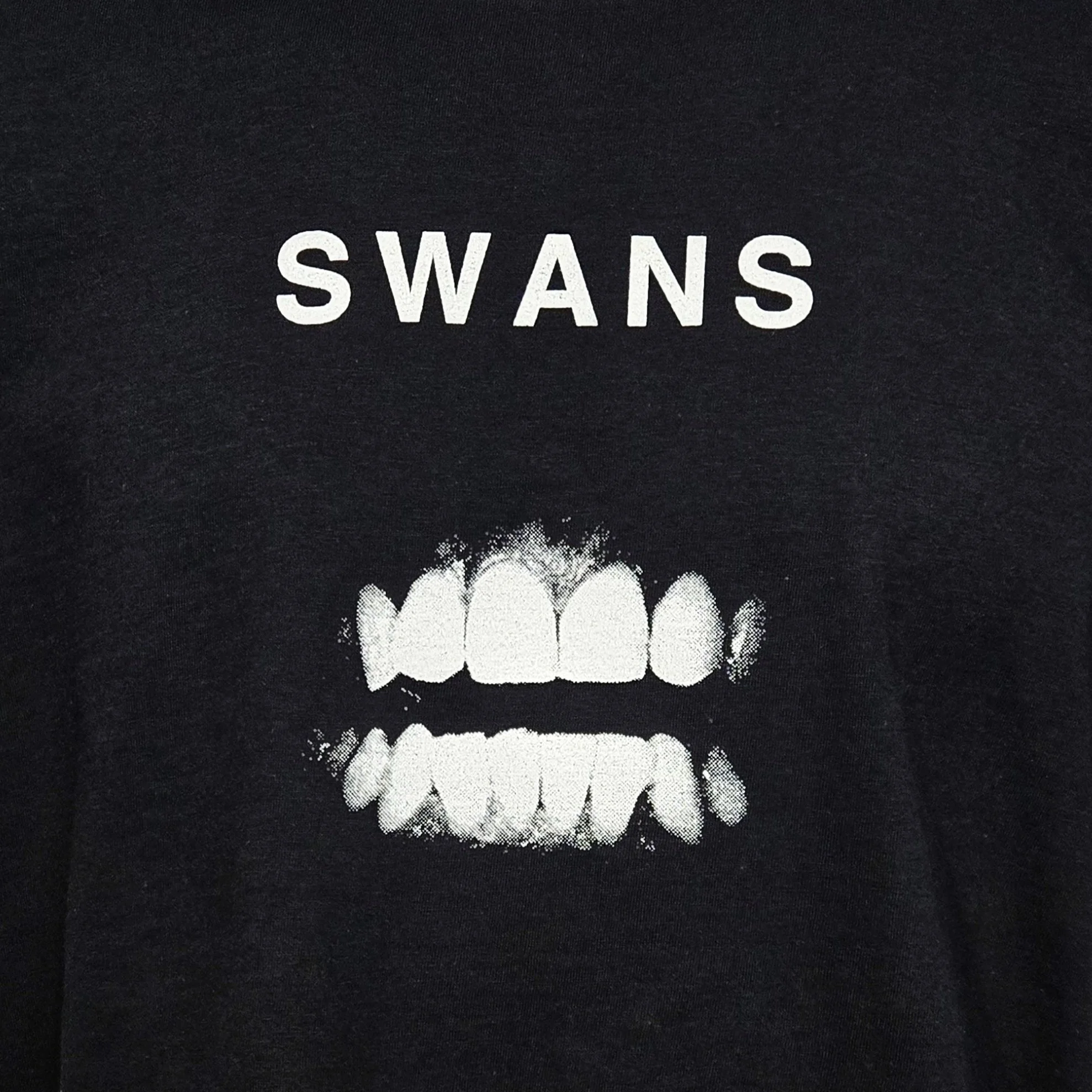 Swans