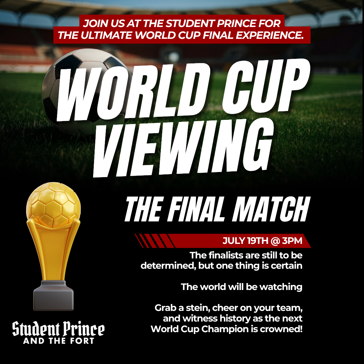World Cup Viewing Party at The Fort! The Final Match