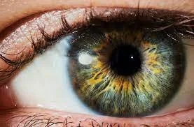eye.jpeg