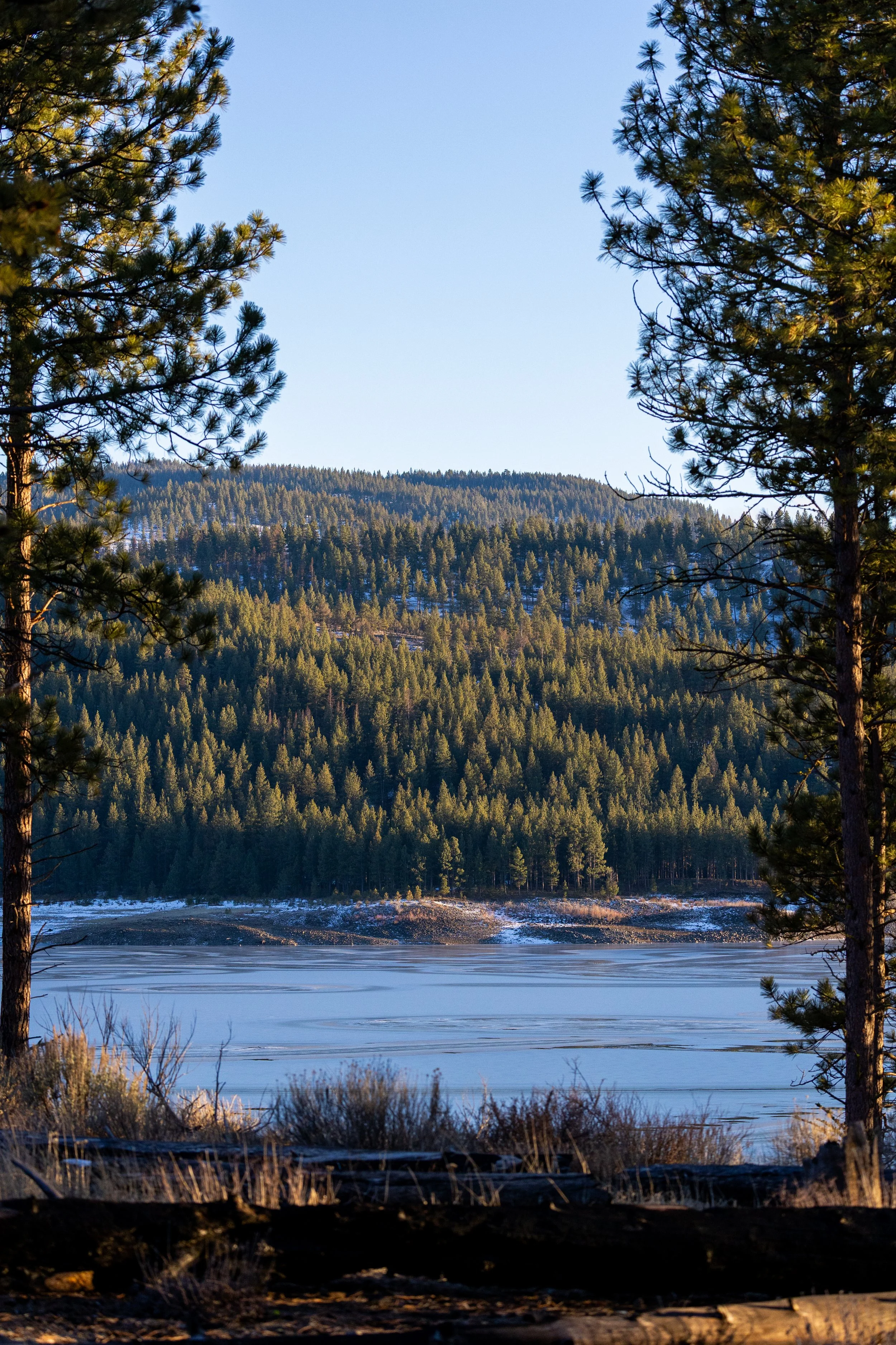 wallawalla-8452.jpg