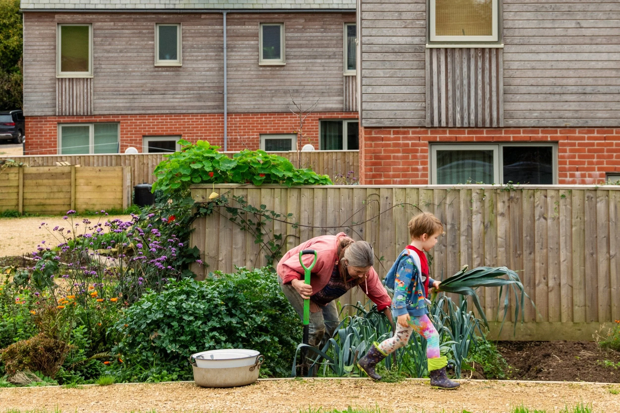 Bridport Cohousing: The Gold Standard for Healthy Homes? — barefoot ...
