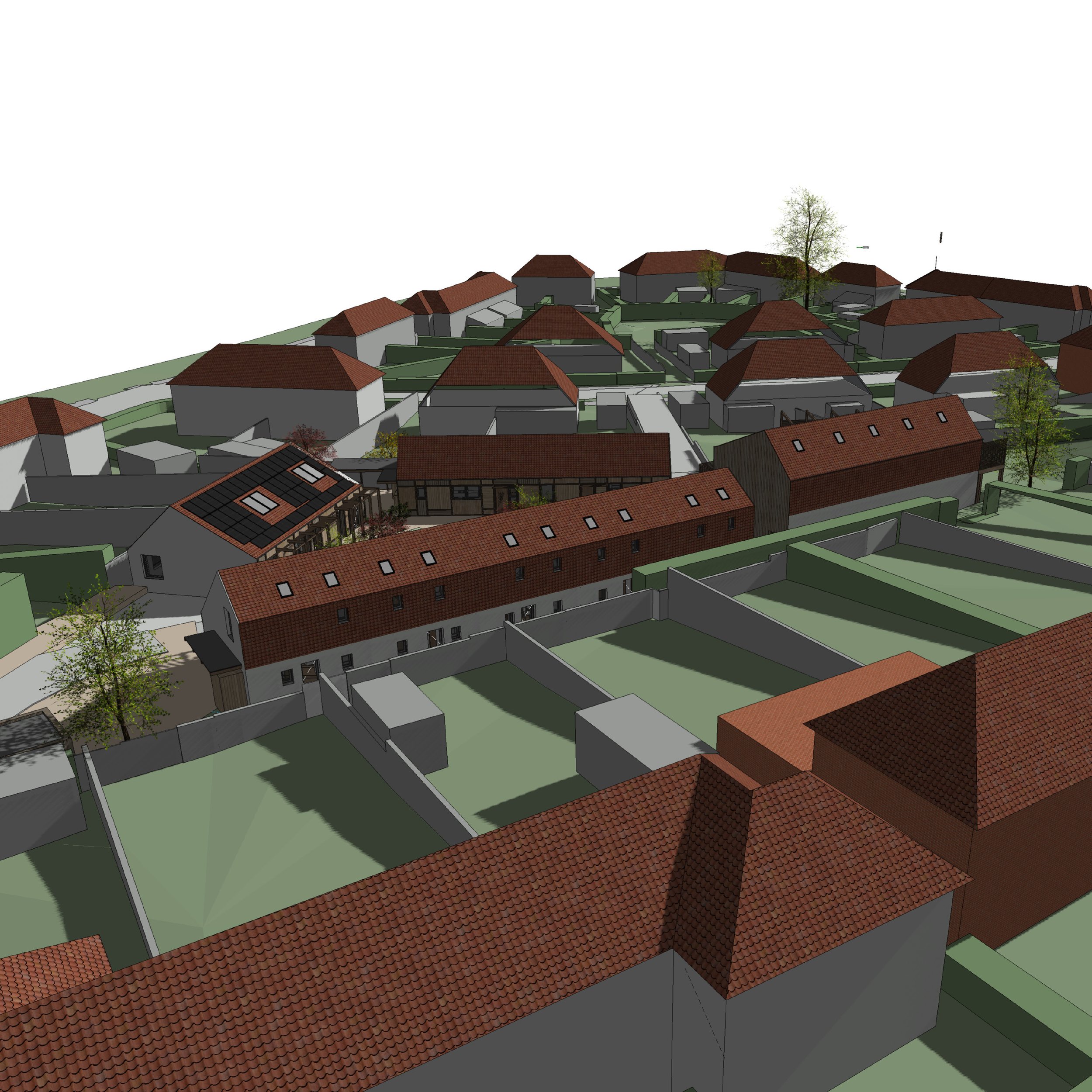 2222_THCB Website Images12.jpg