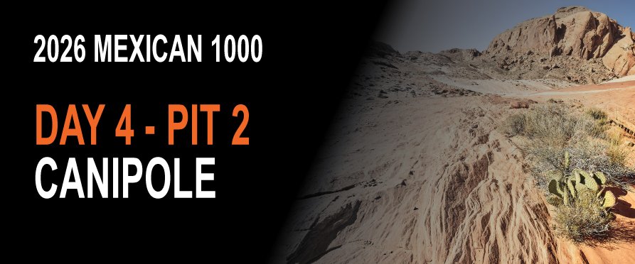 Day 4 - Pit 2 - Canipole