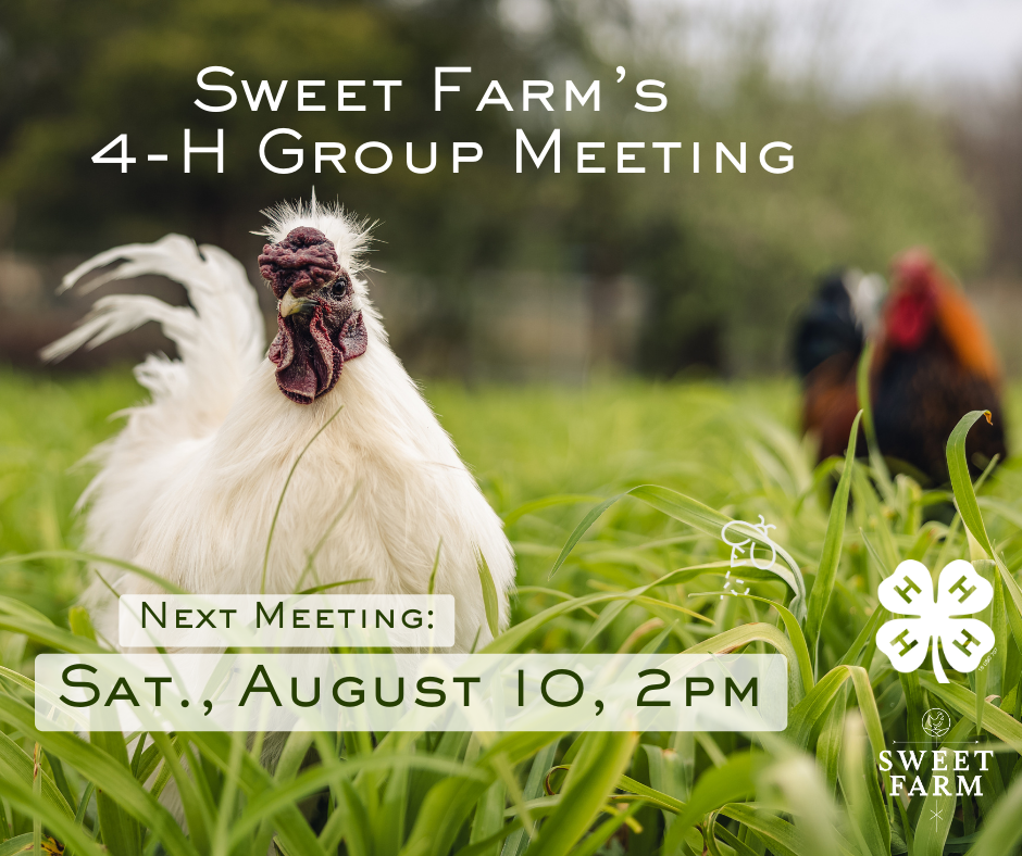 Sweet Farm 4-H Group Meeting