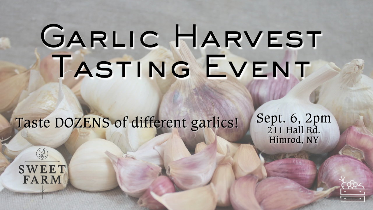 Garlic Tasting