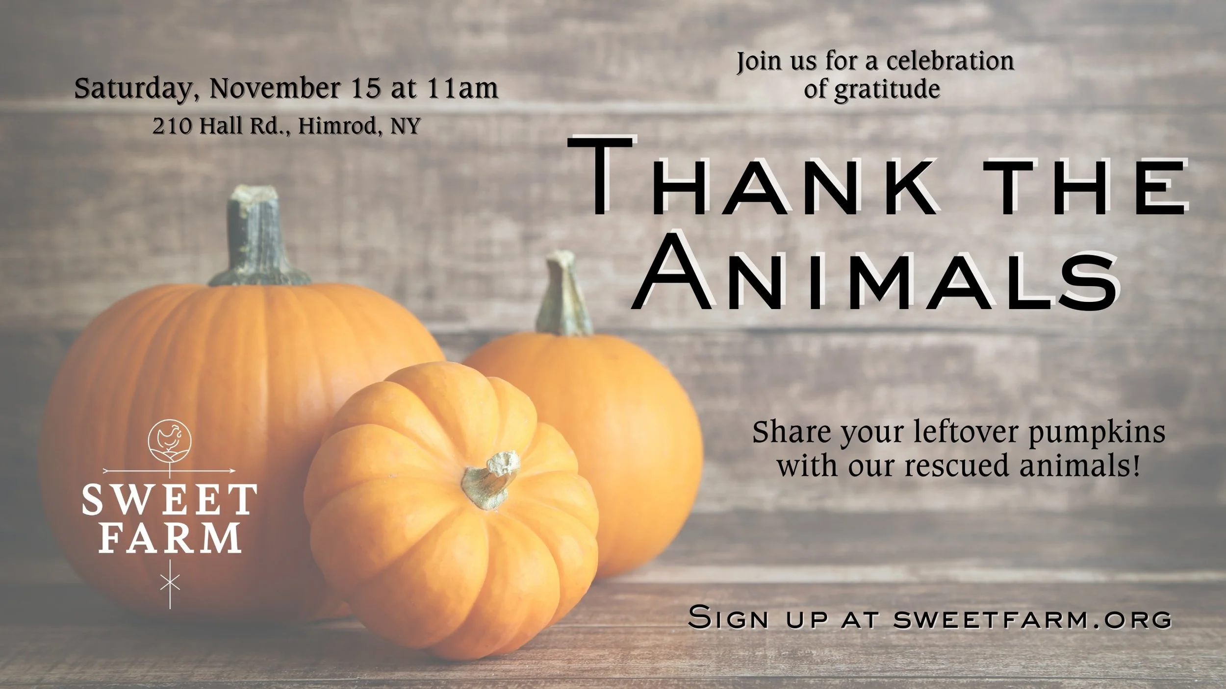 Thank the Animals