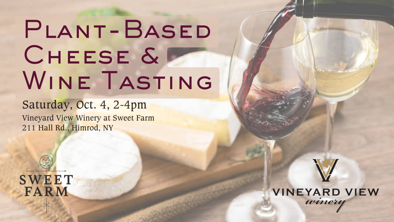 Wine & Vegan Cheese Tasting