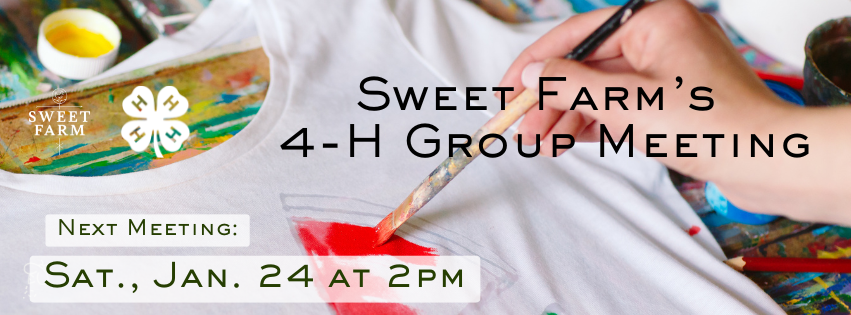 4-H Group Meeting