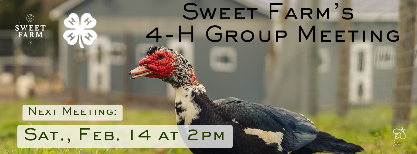 4-H Group Meeting