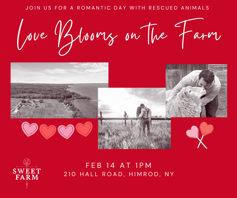 Love Blooms on the Farm