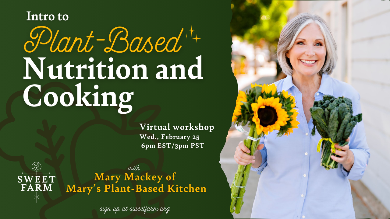 Virtual Plant-Based Nutrition & Cooking Workshop