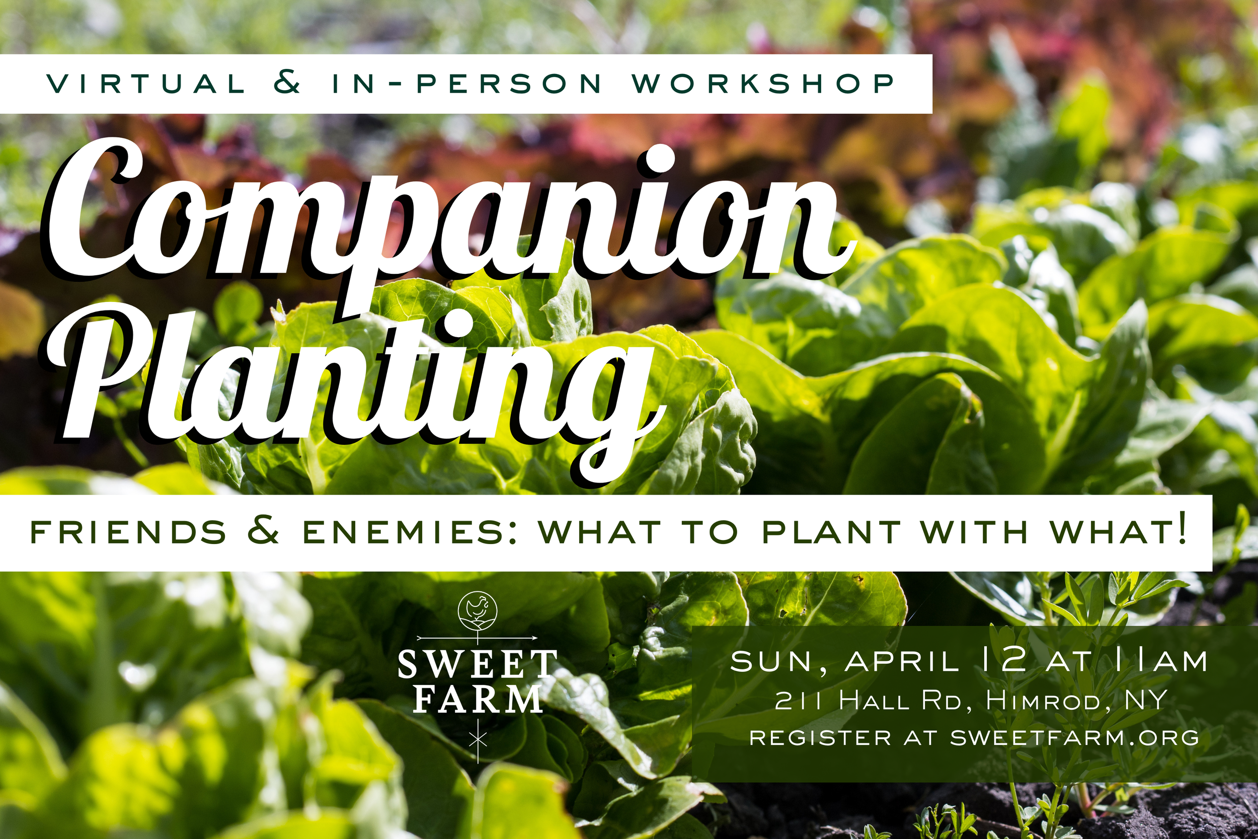 Companion Planting Workshop: Virtual & In Person