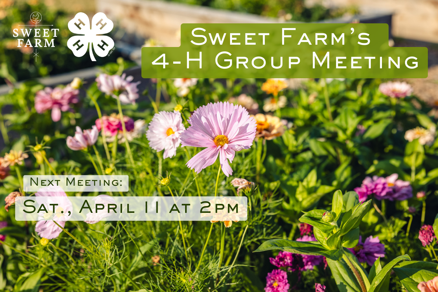 4-H Group Meeting: Flower Pressing