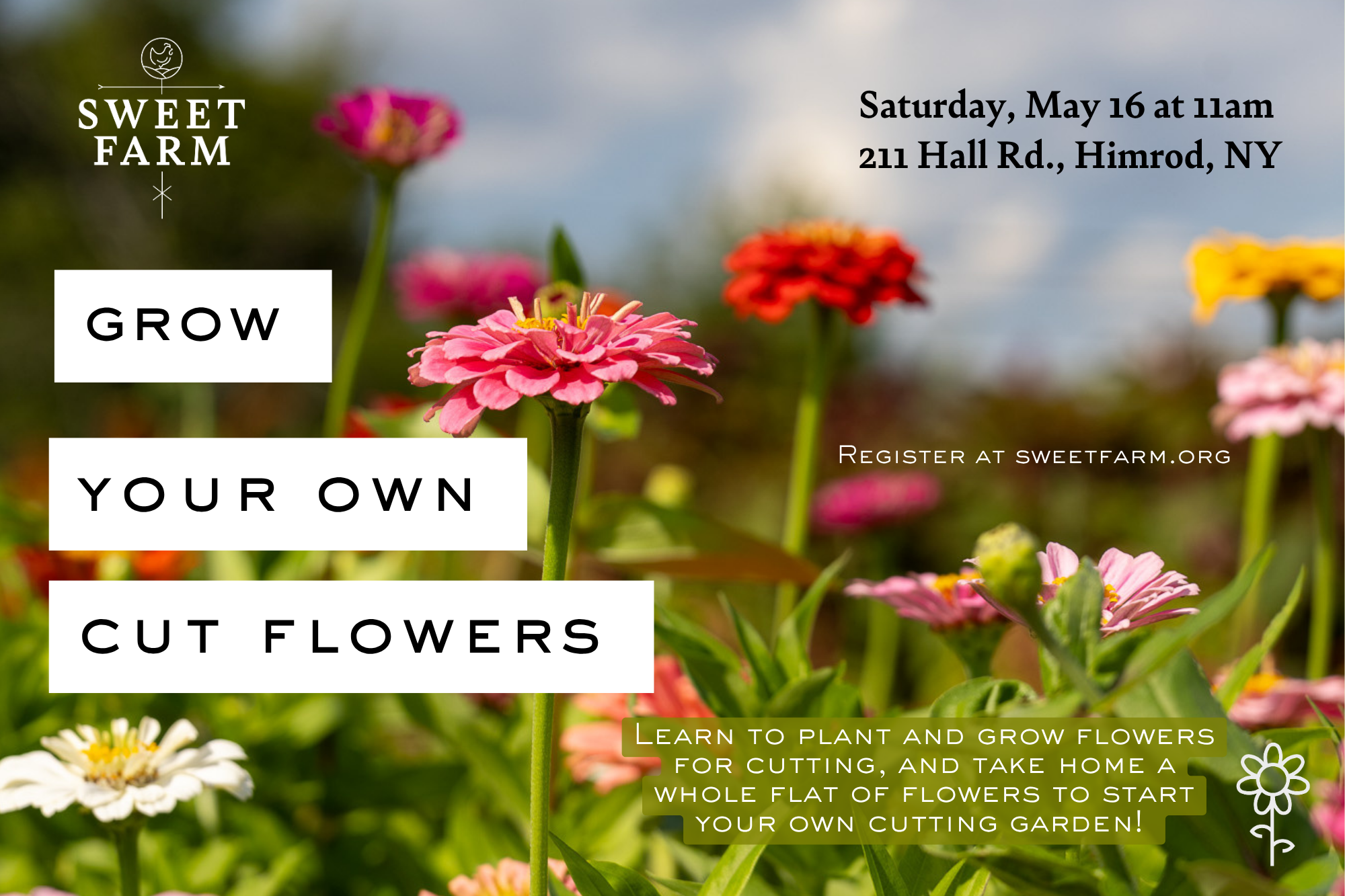 Grow Your Own Cut Flowers