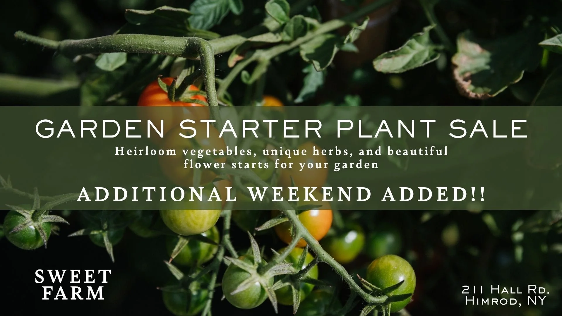 Annual Starter Plant Sale - ADDITIONAL WEEKEND! 50% off!