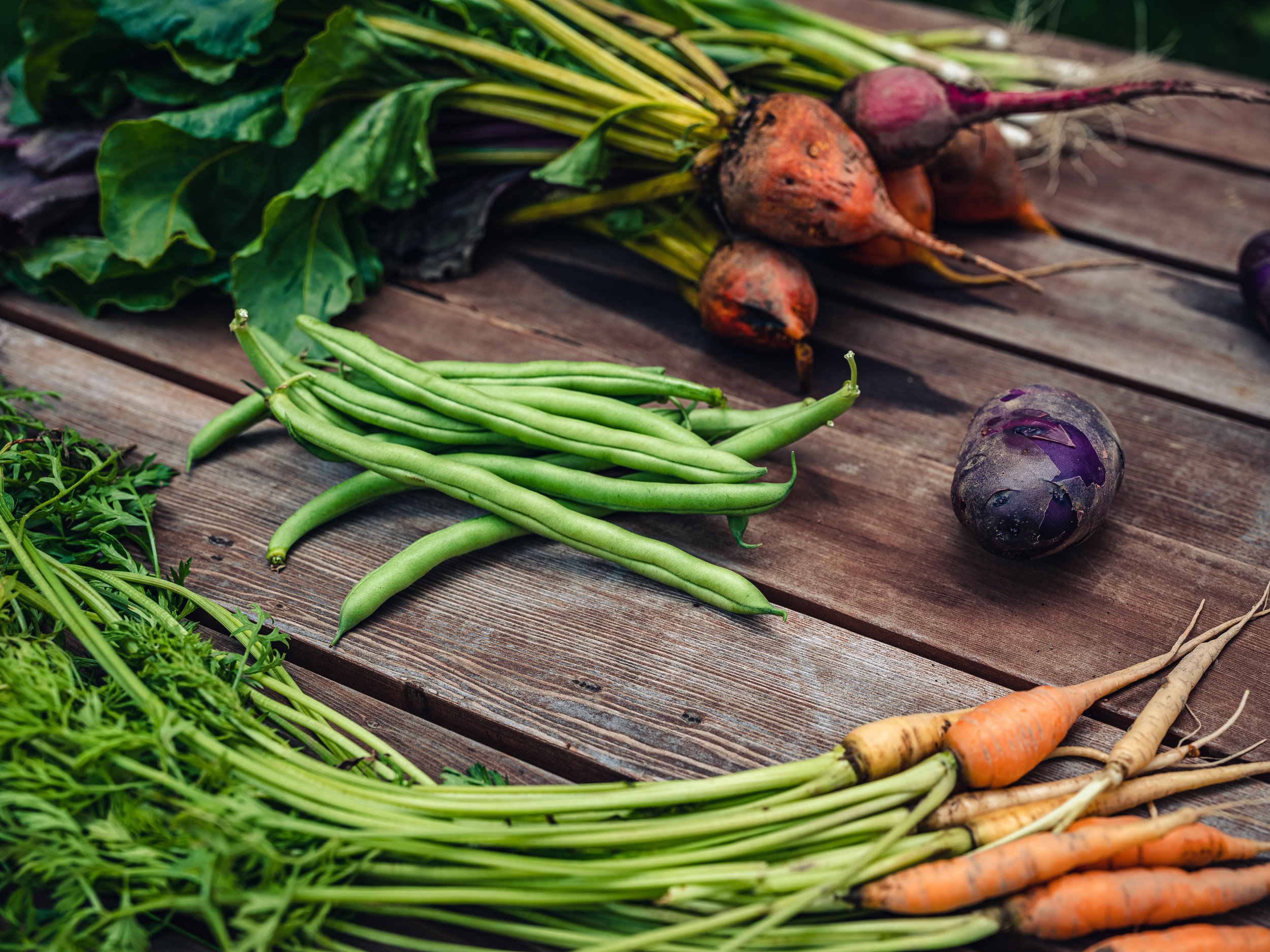 May Sustainability Spotlight