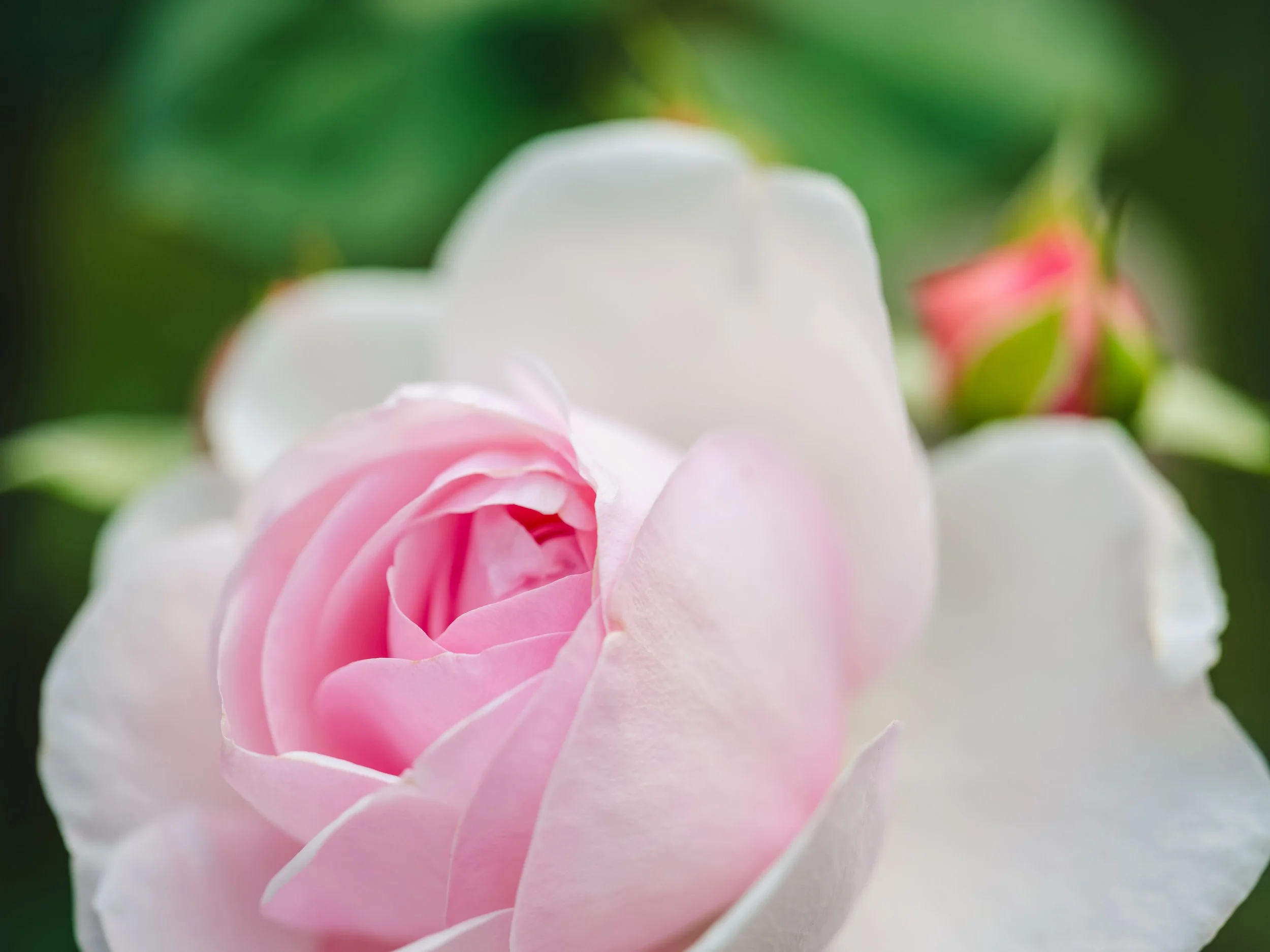 The Magic of June