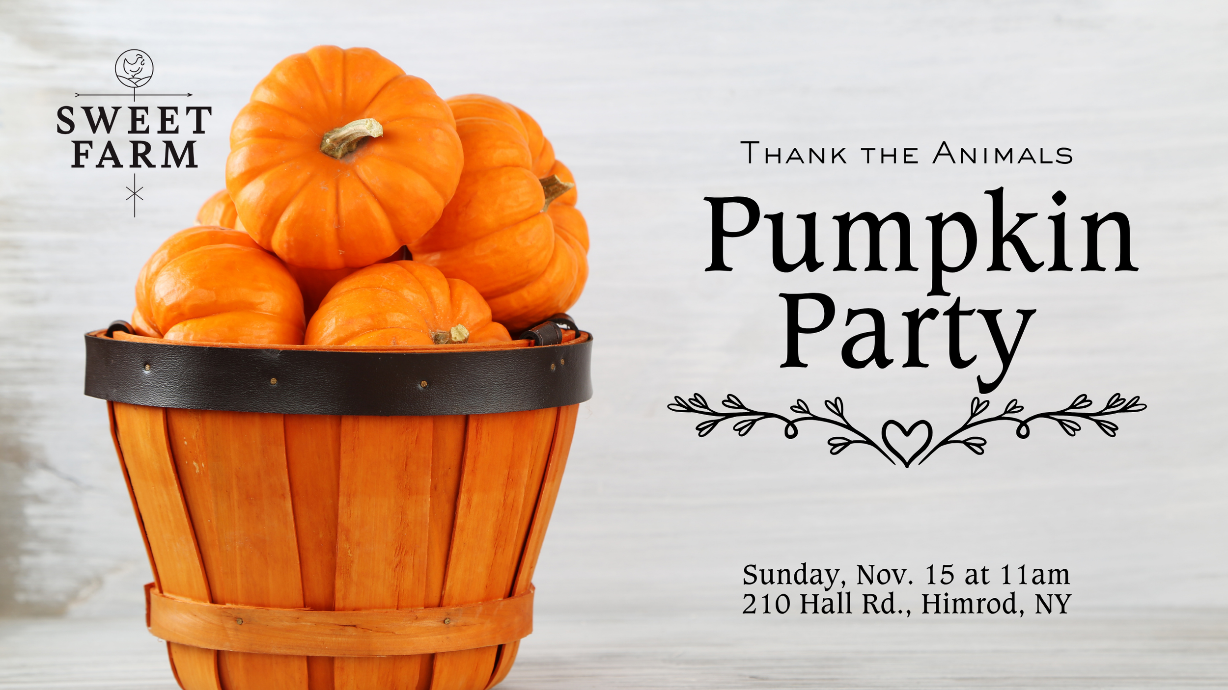Pumpkin Party!