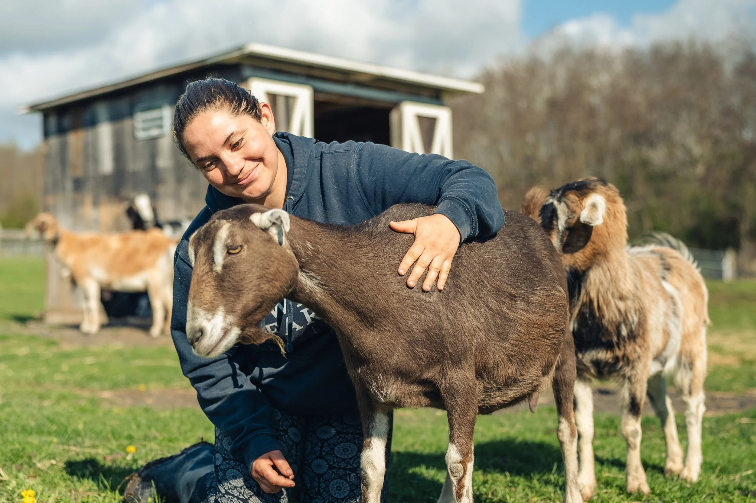We built the software we couldn't find. Now it's free for every sanctuary.