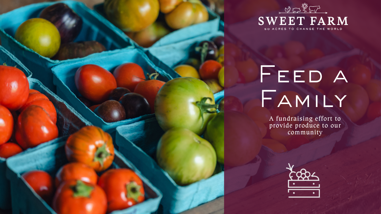 Fresh tomatoes and other produce in blue crates at a farmers market, with overlay text promoting a fundraiser for Sweet Farm's community produce program.