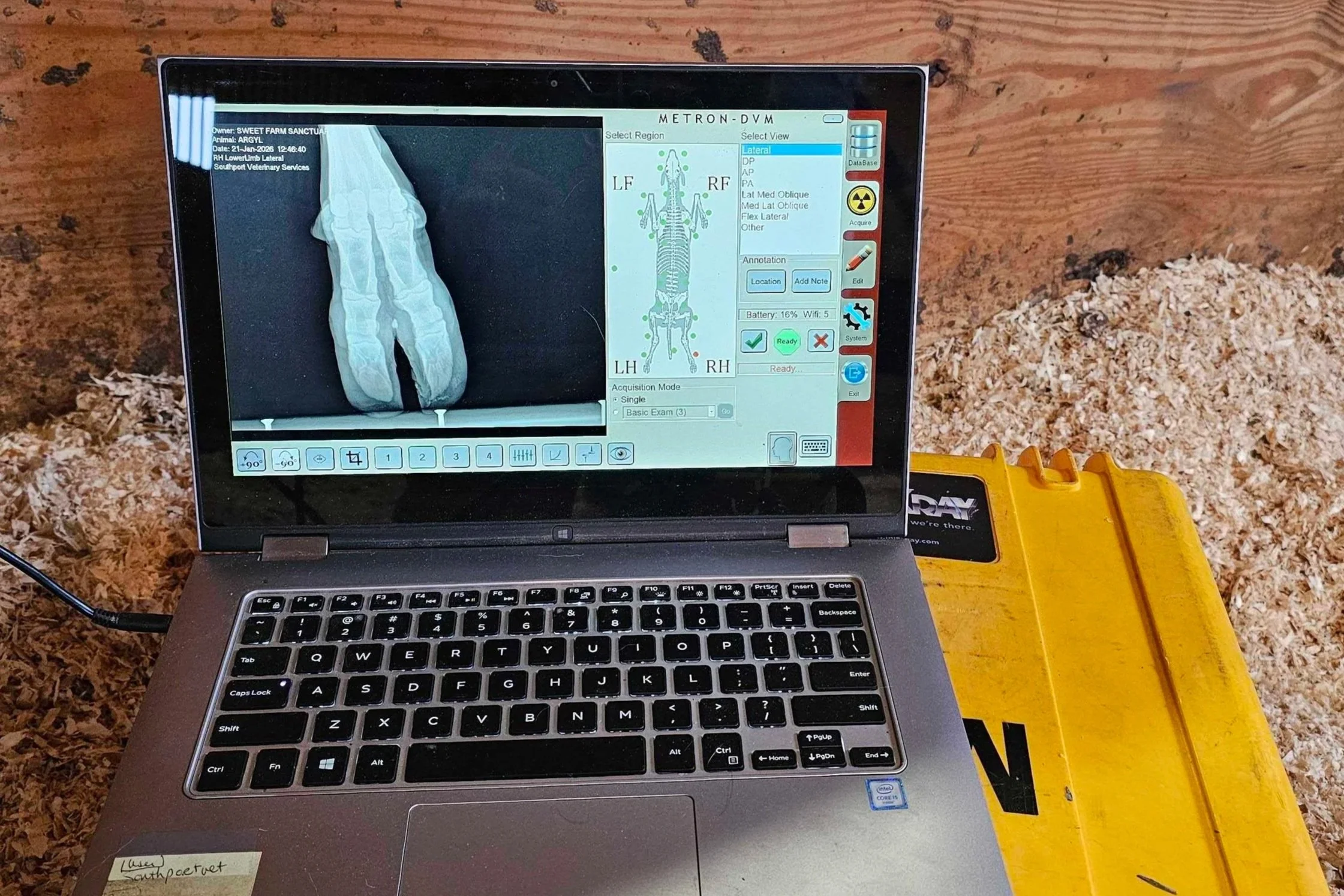 A laptop showing an X-ray image of a hoof on the screen, placed on wood shavings in a barn or stable. The laptop is next to a yellow container.