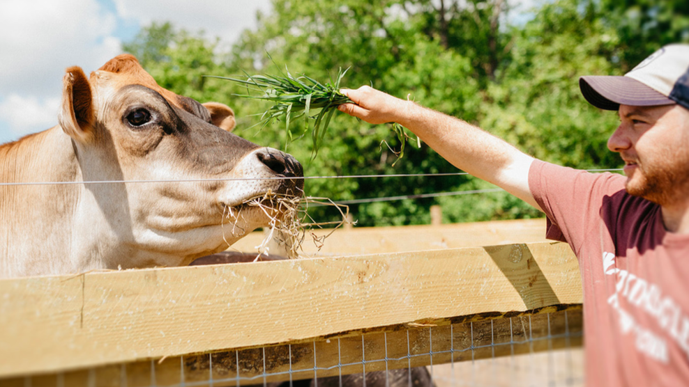 Our Story — Sweet Farm
