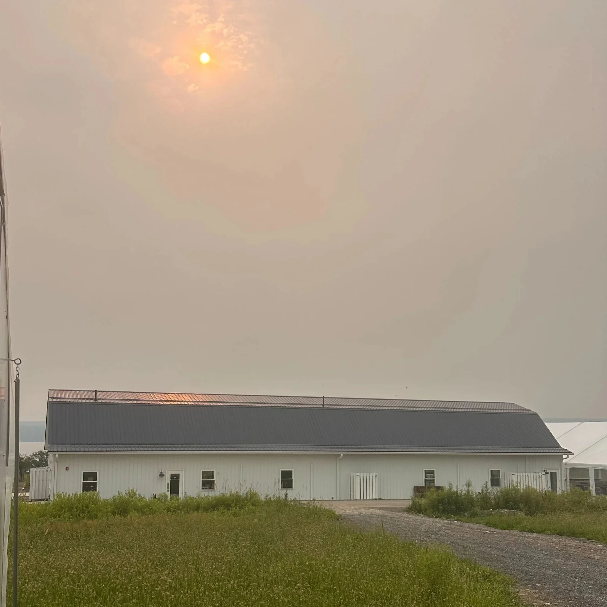 View of a house with a dark colored roof, white exterior walls, and several windows, with a grassy yard and a gravel driveway in the foreground. The sky is overcast and hazy, with the sun partially obscured by smoke.