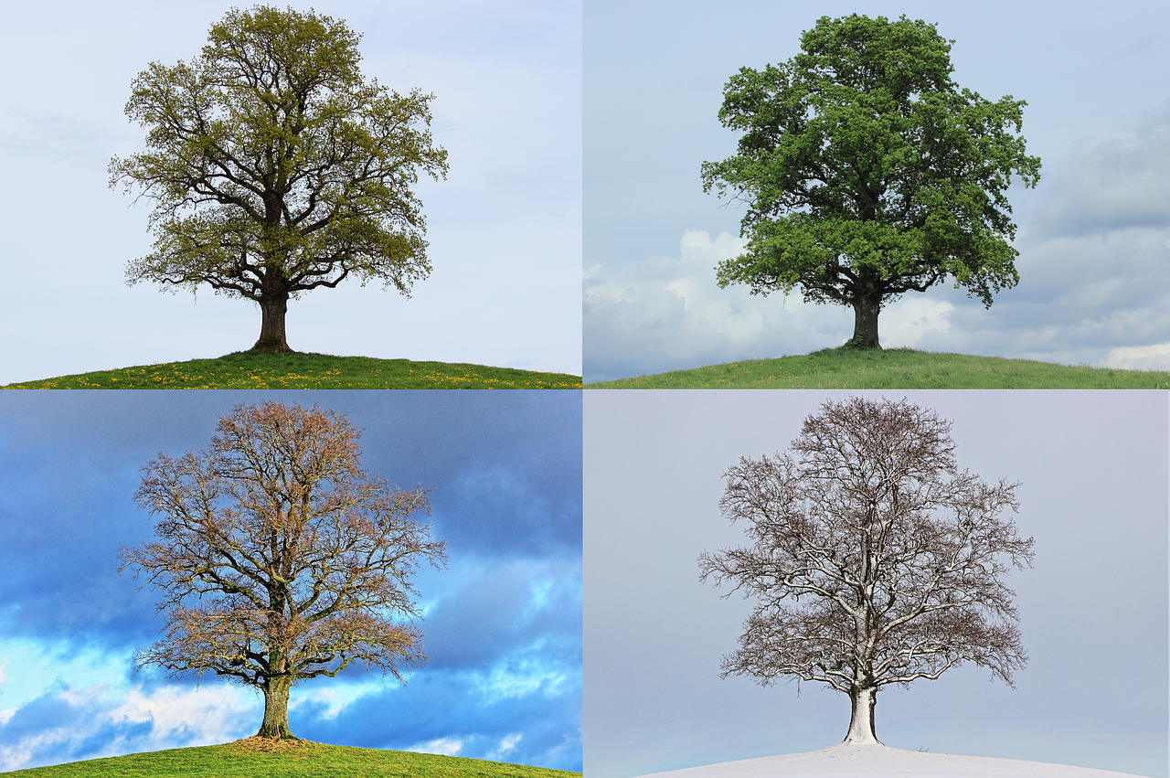 Living in Tune with the Seasons