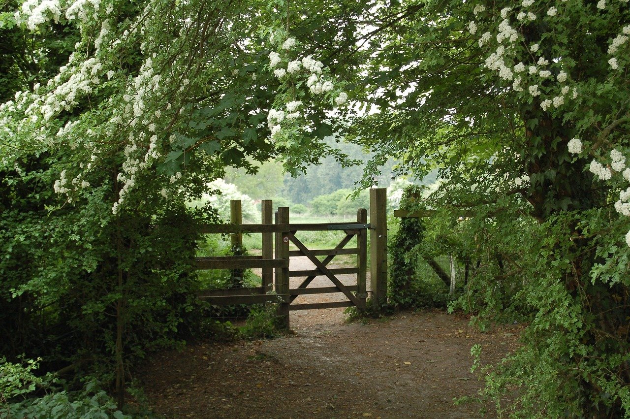 Setting Boundaries: Nurturing Healthy Relationships & Self-Care