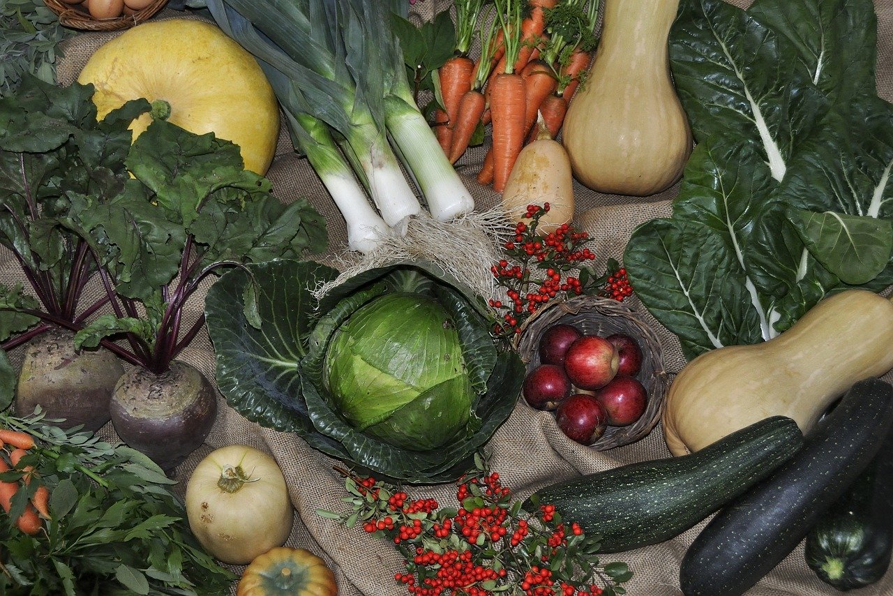 Harvesting Your Potential: Thriving Amidst Transitions