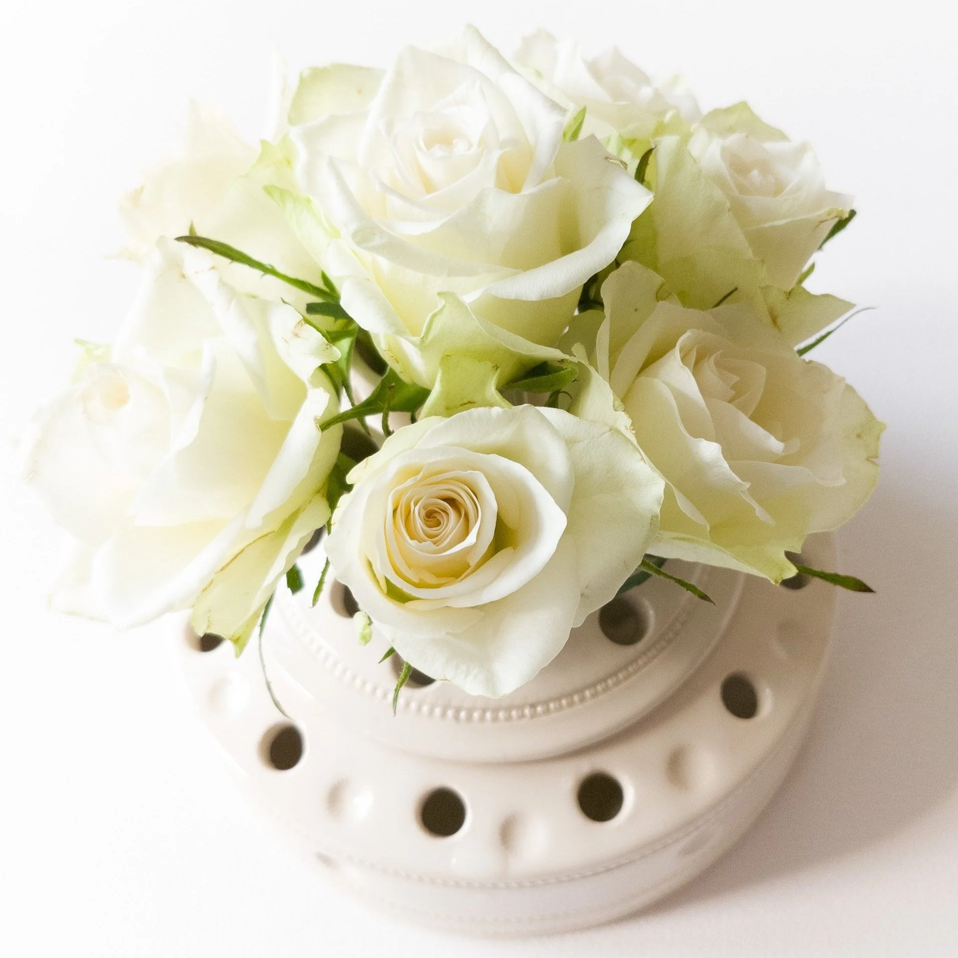 Cream earthenware tulipiere with white roses