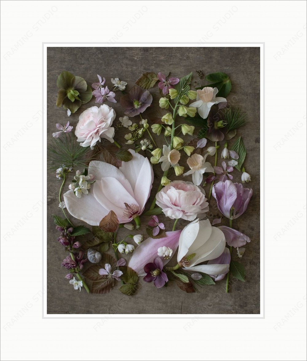 Magnolia Memory: artist and product feature:

Renowned plantswoman and photographer Becky Crowley collects flower heads and other garden finds, laying them out in seasonal themes to photograph in daylight. A3 photographic print, mounted, available on