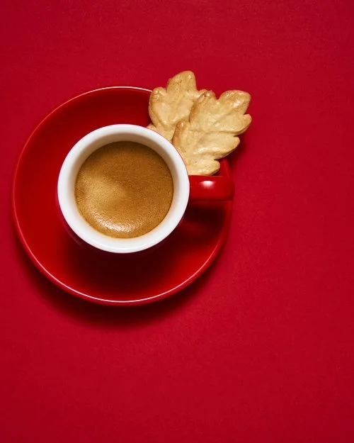 Red_Cup_1_9111+2.jpg