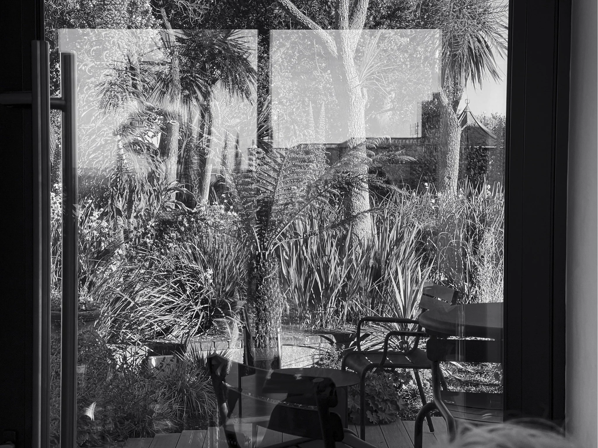 Reflections series 01 Palms